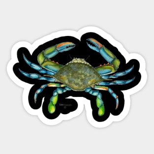 Blue Crab Sticker